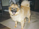 Filename=cb2.jpg
Filesize=8KiB
Dimensions=192x145
Date added=Jun 30, 2011 cb2.jpg