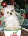 Filename=lilbit.jpg
Filesize=11KiB
Dimensions=135x172
Date added=Jun 16, 2011 lilbit.jpg